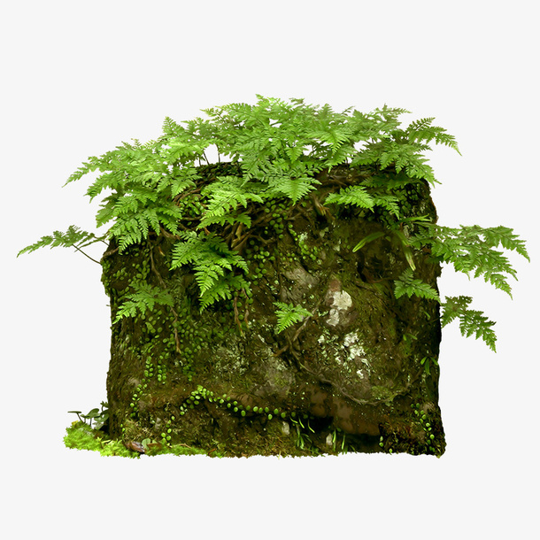 绿色青苔石块元素免抠