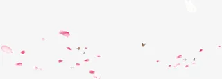 漂浮花瓣免抠