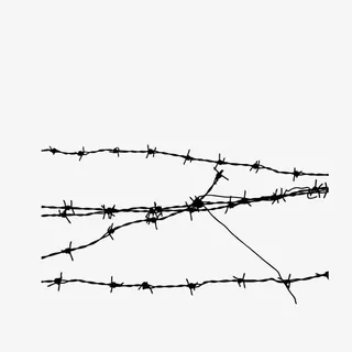 错综复杂无法辩解的铁丝荆条免抠 错综复杂无法辩解的铁丝荆条免抠