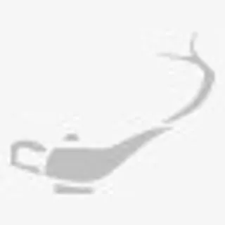 阿拉丁灯银free-mobile-icon-kit免抠