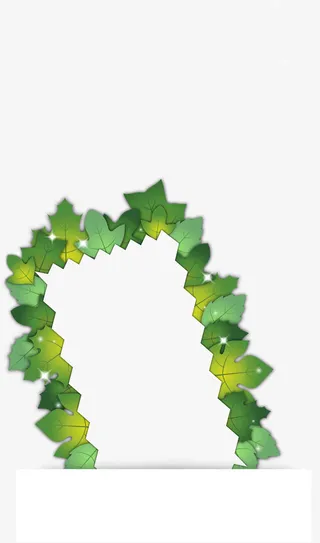 长方形树叶边框免抠