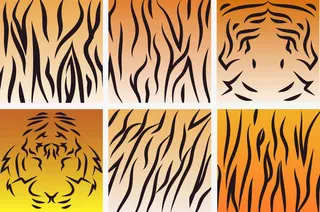 创意老虎皮免抠