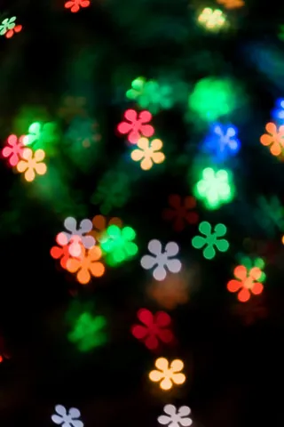 五叶草特效光免抠