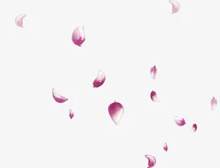 浅紫色花瓣免抠