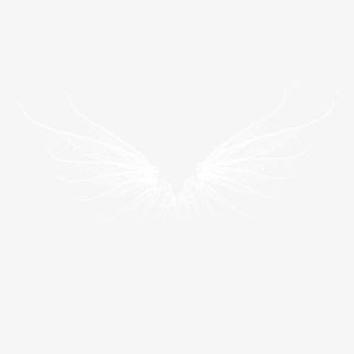 水花翅膀素材免抠