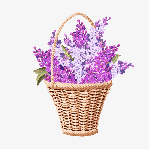 装满紫丁香的花篮矢量图免抠