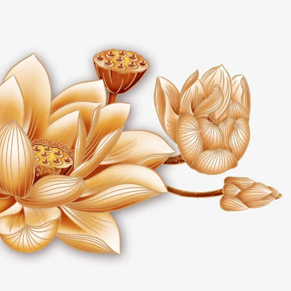 金色荷花免抠