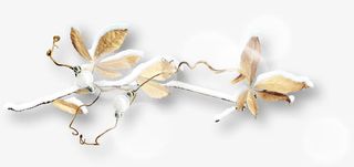 白雪棕色枯枝枯叶免抠