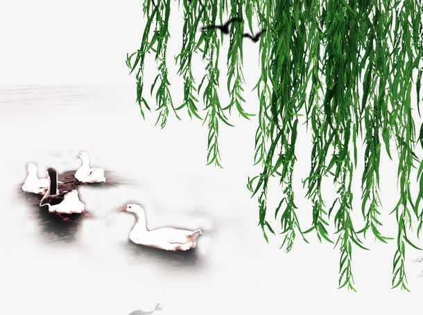 河边柳树枝条免抠