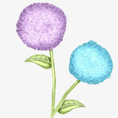 紫蓝色绣球花免抠