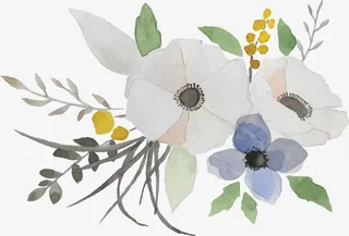 水彩手绘山茶花免抠