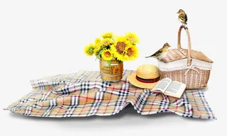 野餐布 野餐篮免抠