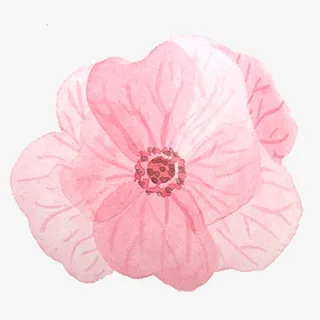 粉红色花朵手绘水彩小清新动物植免抠