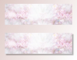 桃花节梦幻浪漫炫彩白banner高清
