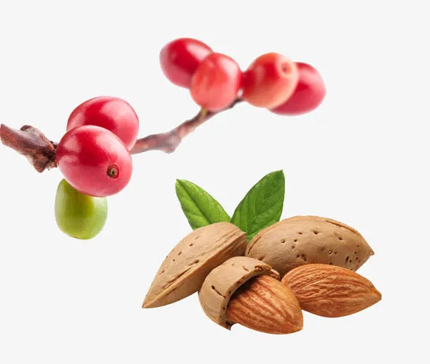树枝上的樱桃和干果免抠