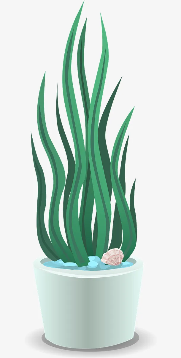 绘制春天里生长的一盆绿植免抠