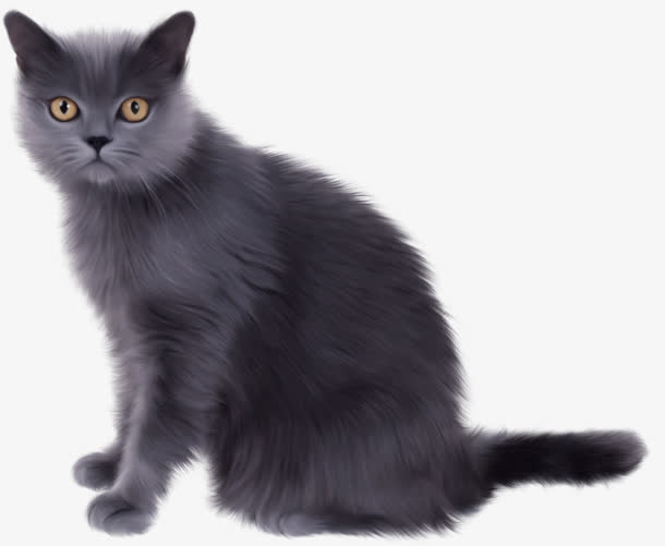女巫猫免抠