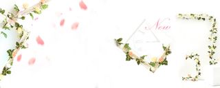 淘宝女装背景高清