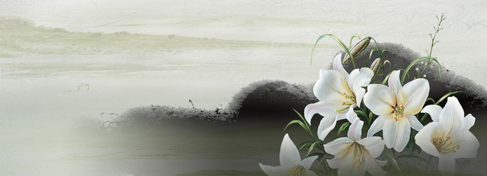 中国风花瓣古典banner壁纸高清