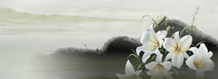 中国风花瓣古典banner壁纸高清