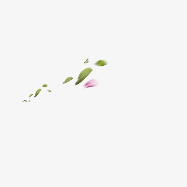 漂浮的花瓣免抠