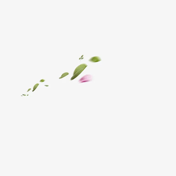 漂浮的花瓣免抠