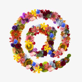 彩色创意鲜花文字免抠