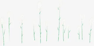 绿色植物春季促销活动背景