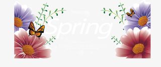 浪漫春花春天横幅免抠