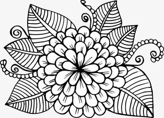 花朵简笔画免抠