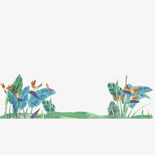 绿色草地上和大芭蕉叶免抠