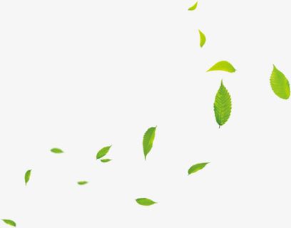 春天漂浮绿色叶子免抠漂浮叶子元素