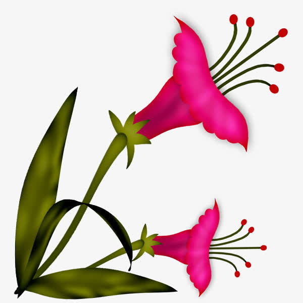 卡通红色鲜花免抠