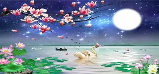 星空下的荷塘风景高清