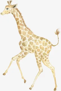 手绘踮起脚的长颈鹿免抠