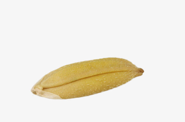 金黄的稻粒免抠