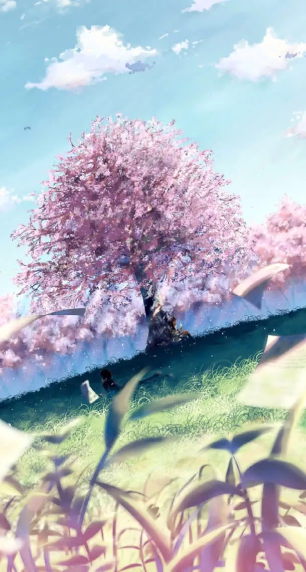 紫色樱花碧蓝天空免抠