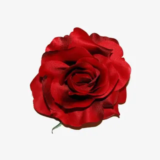 红色玫瑰免抠