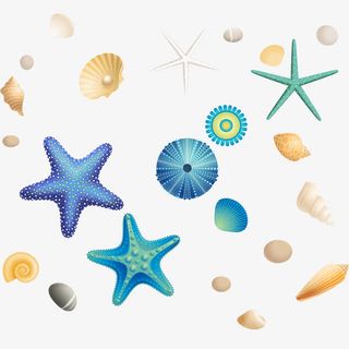 手绘海报卡通海星贝壳效果免抠