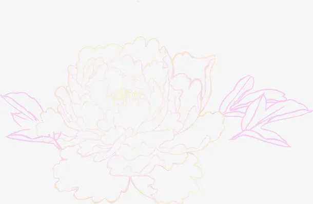 牡丹花卉新年贺卡图片免抠