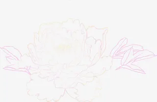 牡丹花卉新年贺卡图片免抠