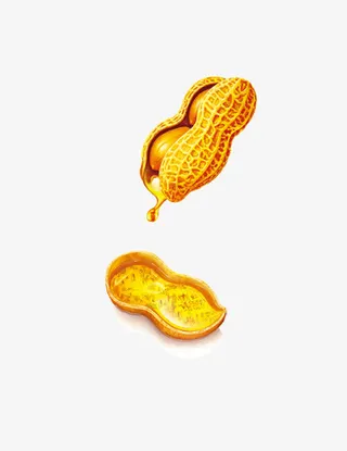 金色的花生油免抠