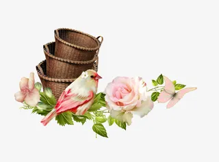 花草矢量素材卡通装饰图片免抠