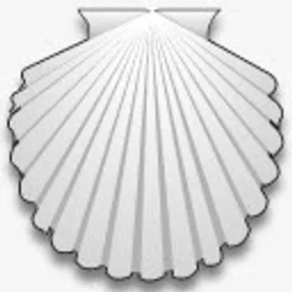 夏天贝壳海螺元素免抠