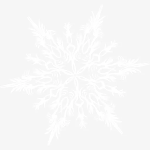 一个精美的雪花片免抠
