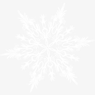 一个精美的雪花片免抠