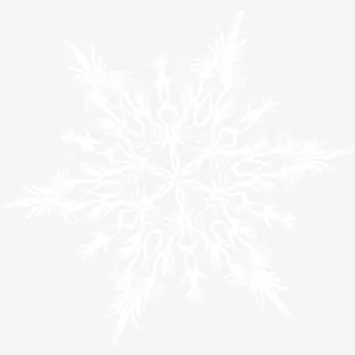 一个精美的雪花片免抠