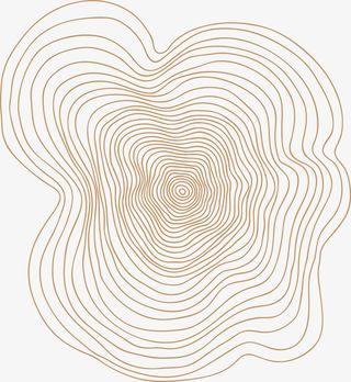 不规则木桩年轮线条图免抠