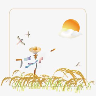 稻田地的稻草人免抠