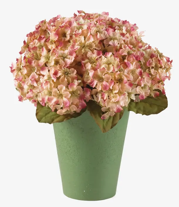 花盘免抠